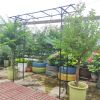 Metal Garden Arch L80.3'' x W20.47'' x H81.1'' Climbing Plants Support Rose Arch Outdoor Black